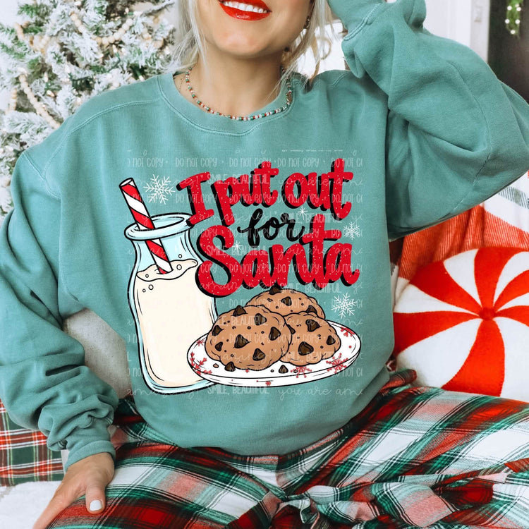 I Put Out for Santa Christmas DTF Transfer