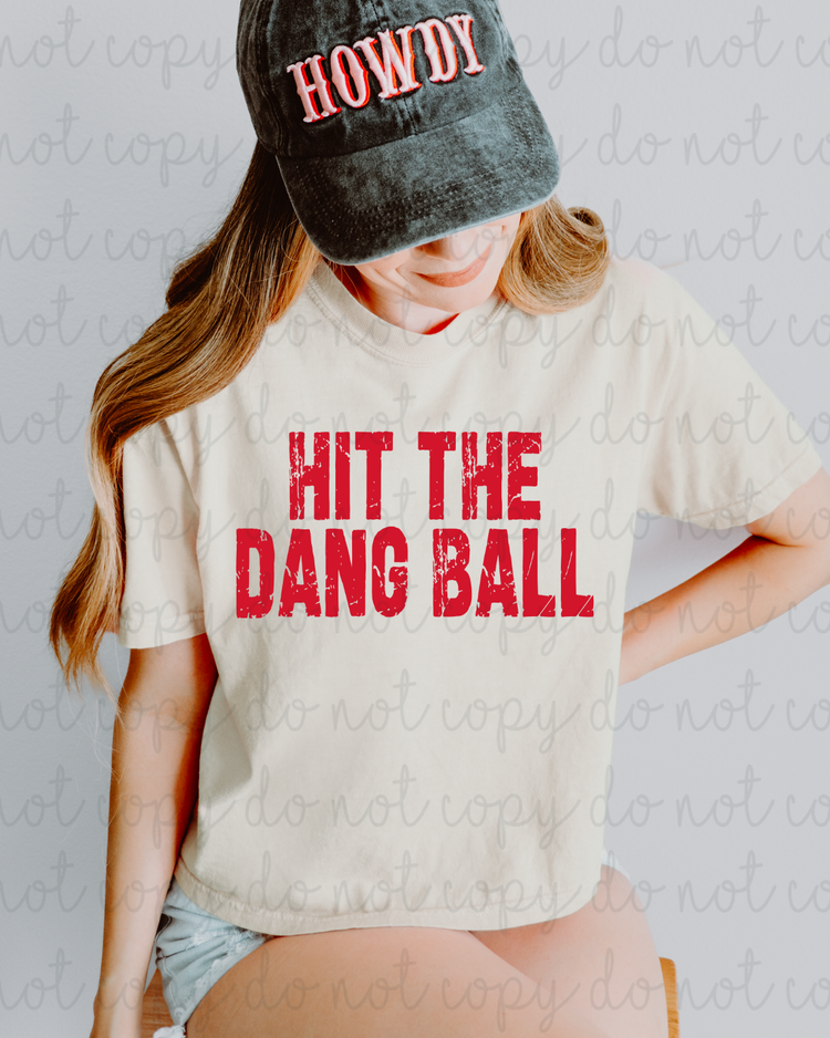 Distressed Hit The Damn Ball (Red) DTF Transfer