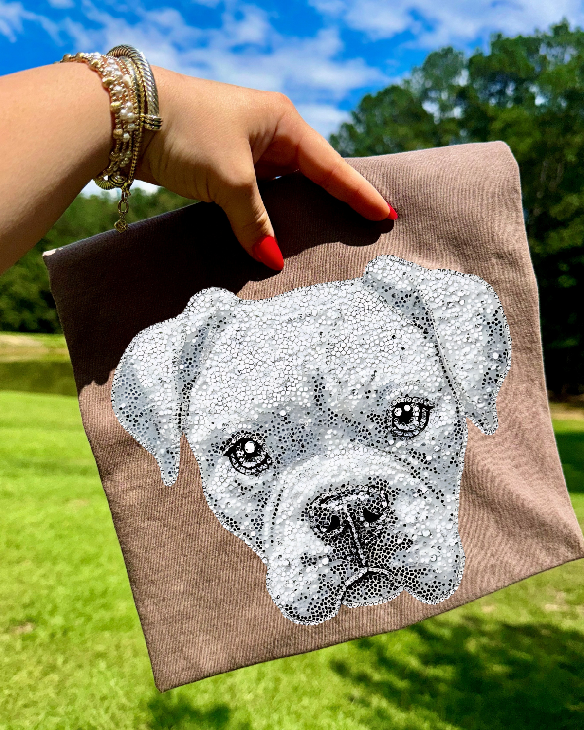 Faux Rhinestone Boxer DTF Transfer