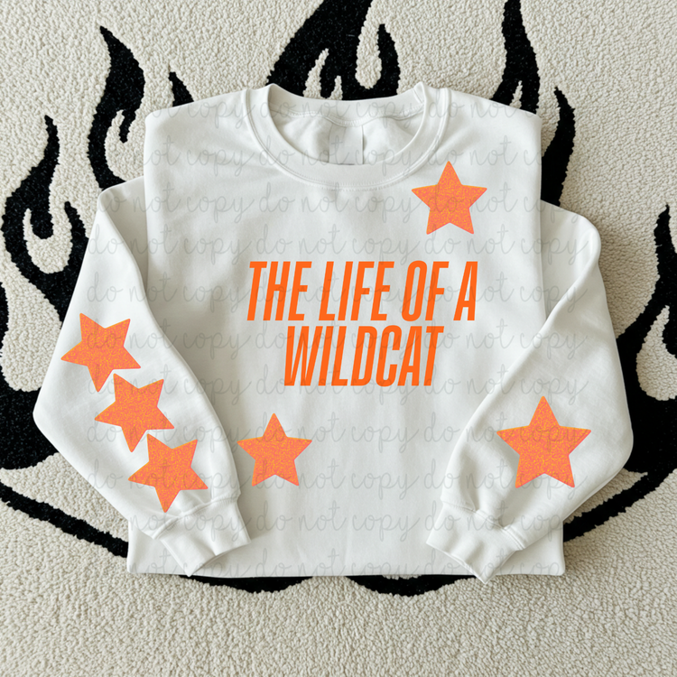 The Life Of A Wildcat DTF Transfer