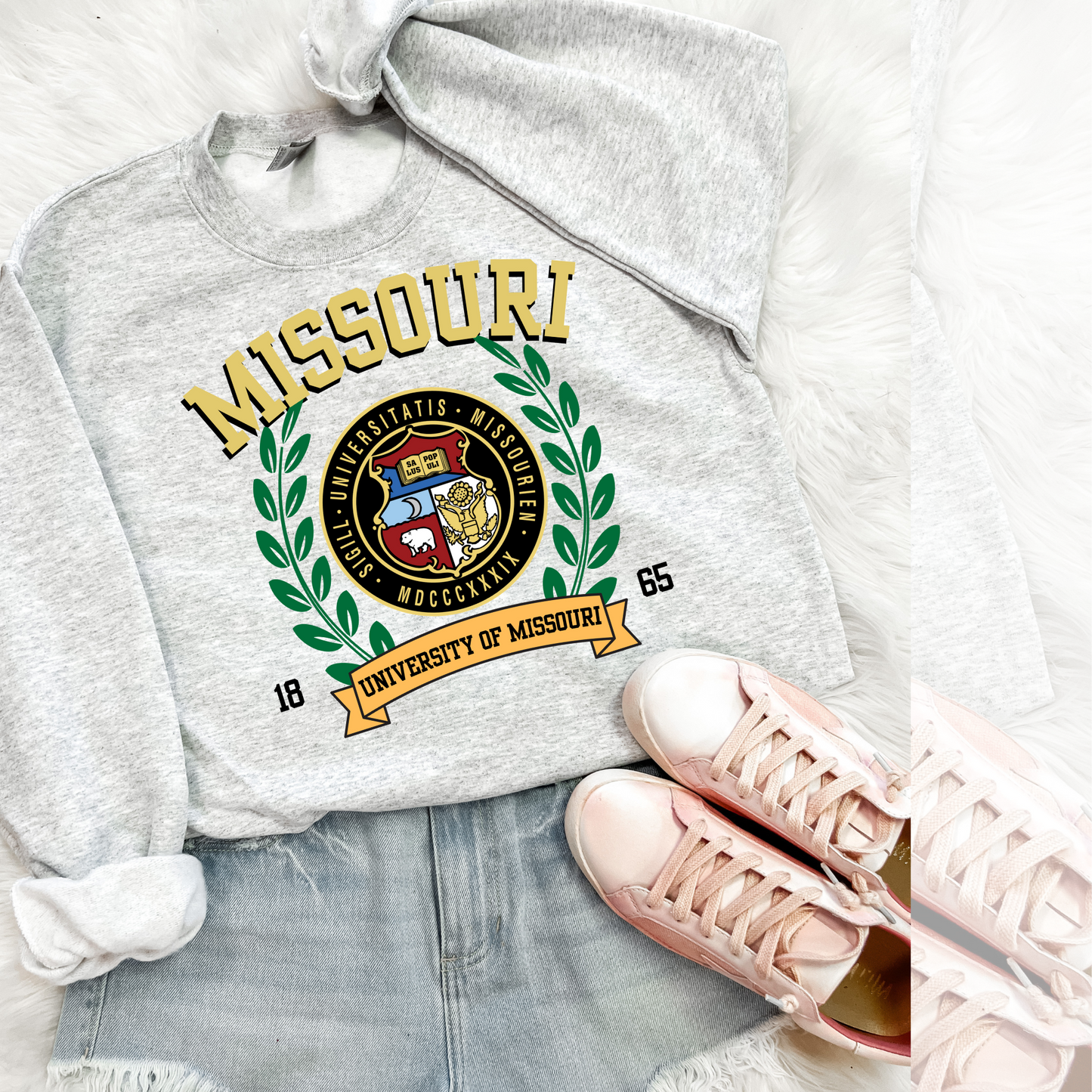 Missouri Vintage Stadium DTF Transfer