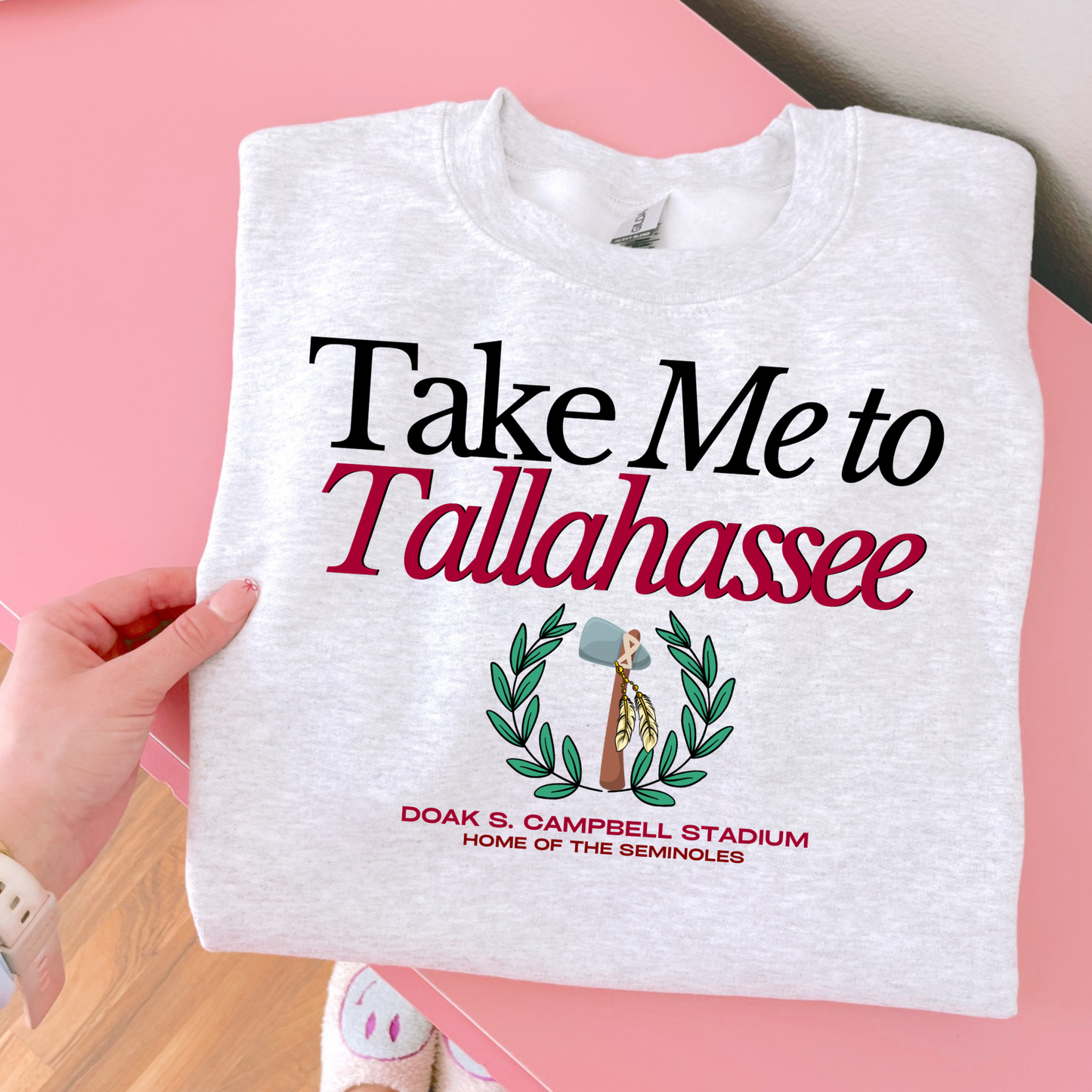 Take me To Tallahassee DTF Transfer