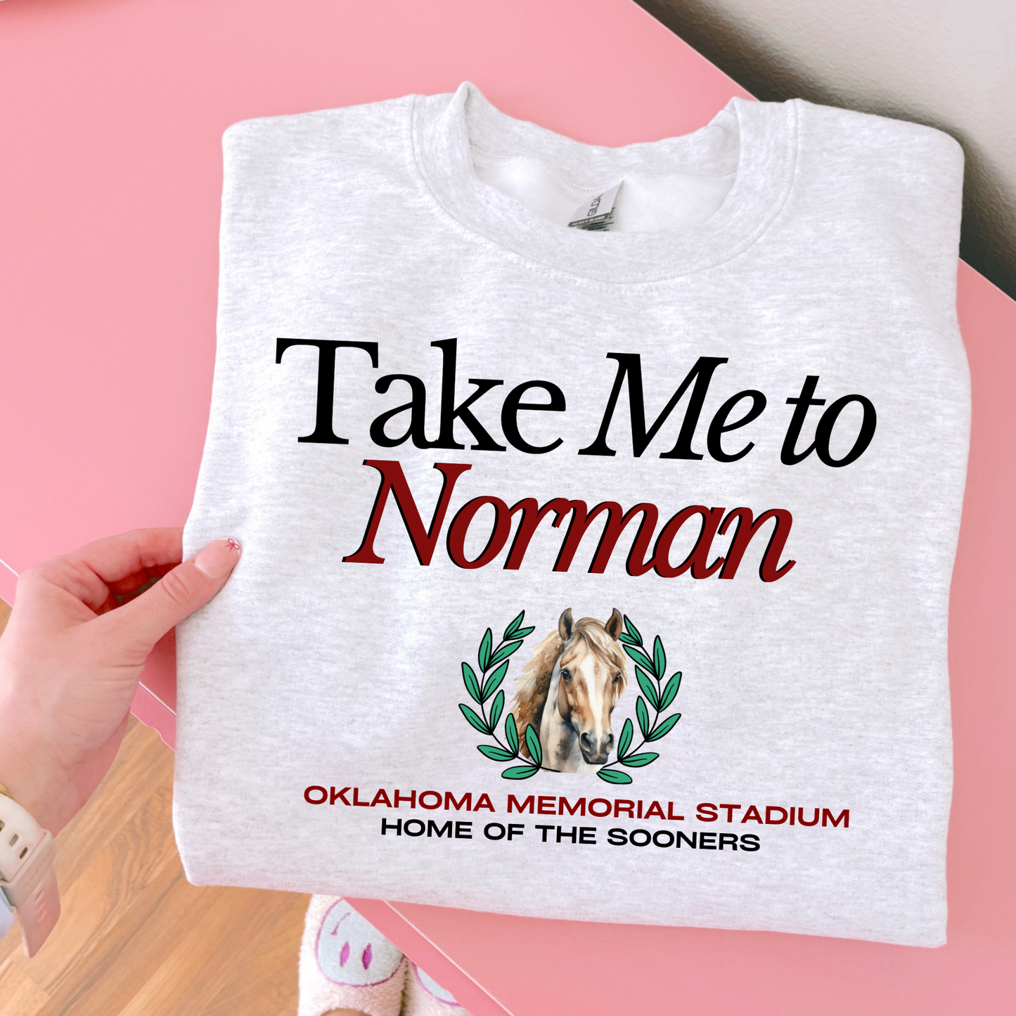 Take me To Norman DTF Transfer