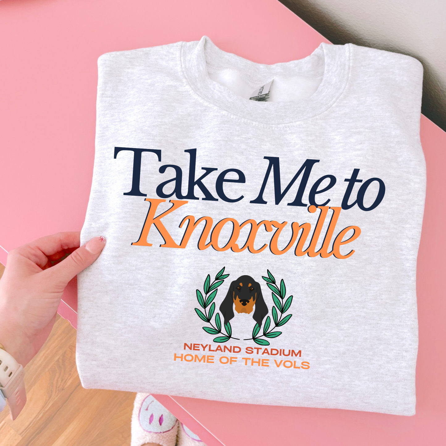 Take me To Knoxville DTF Transfer