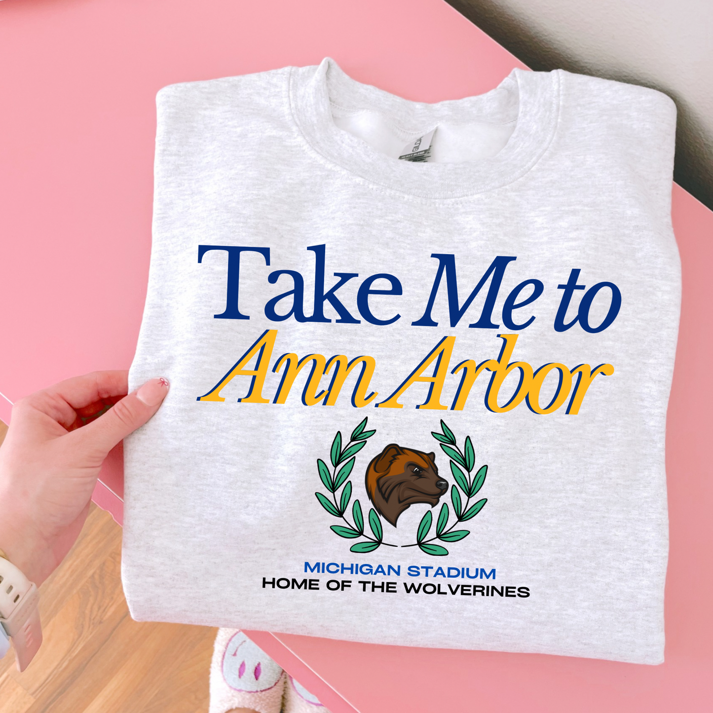 Take me To Michigan DTF Transfer