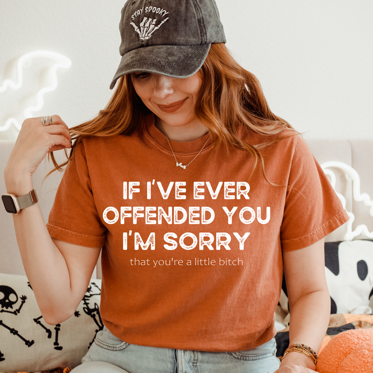 If I've Ever Offended You, I'm Sorry (your a little B) Screen Print Transfer