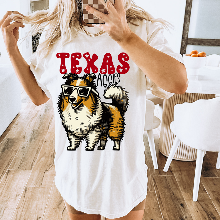 Texas Sports DTF Transfer