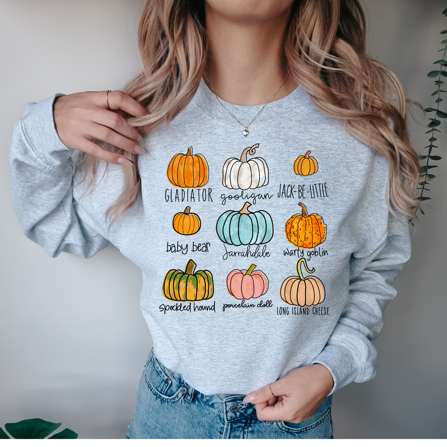 Pumpkin Variety DTF Transfer