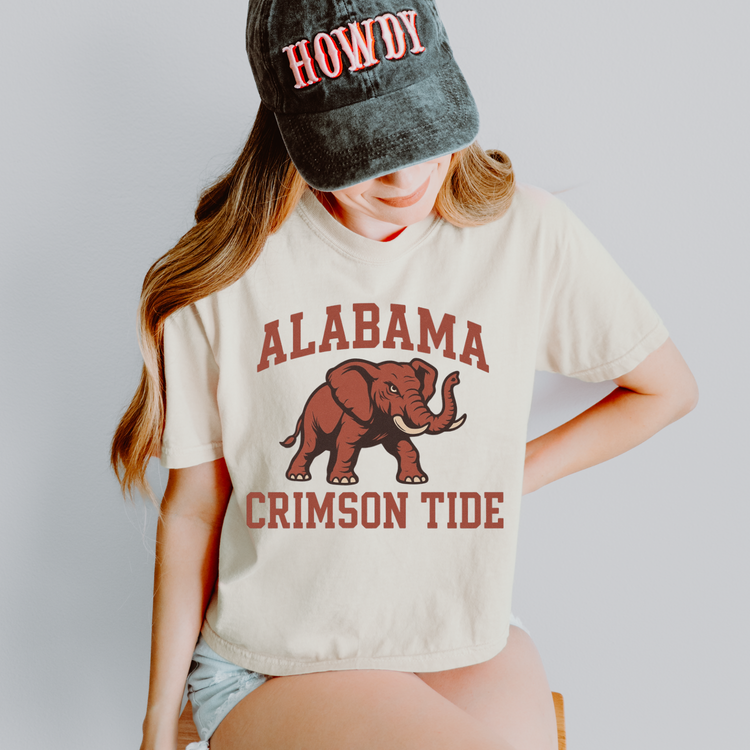 Alabama Crimson Tide DTF Transfer