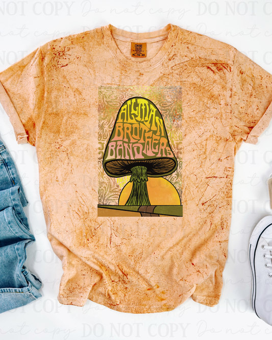 Allman Brothers Band DTF Transfer