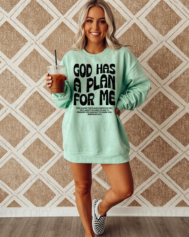 Distressed God Has A Plan For Me Verse (Black) DTF Transfer
