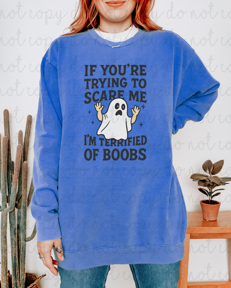 I'm Terrified Of Boobs DTF Transfer