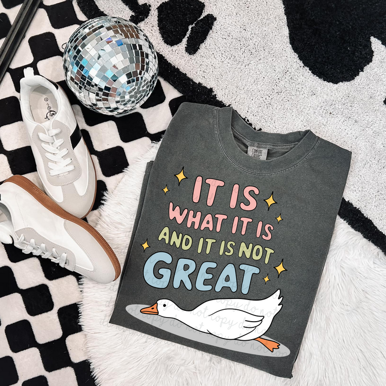 It Is What It Is DTF Transfer