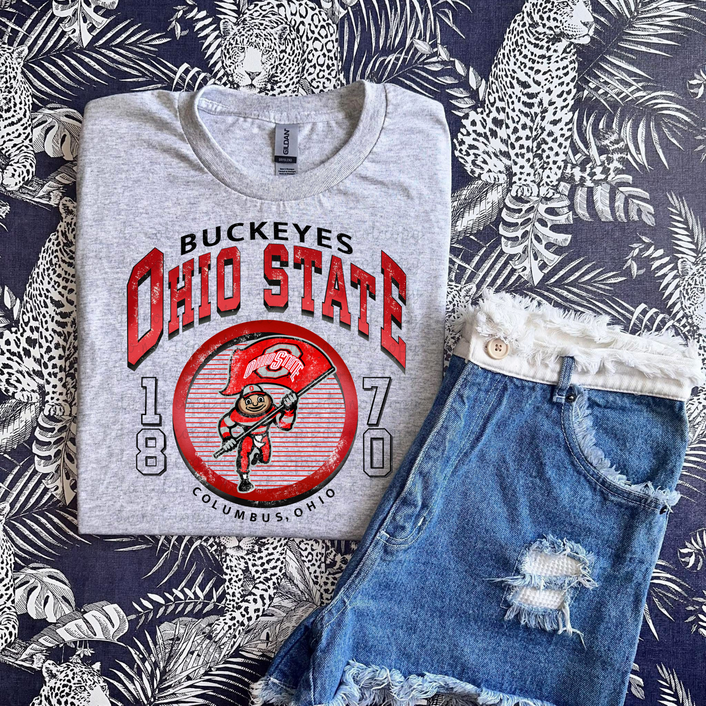 Ohio State Buckeyes DTF Transfer