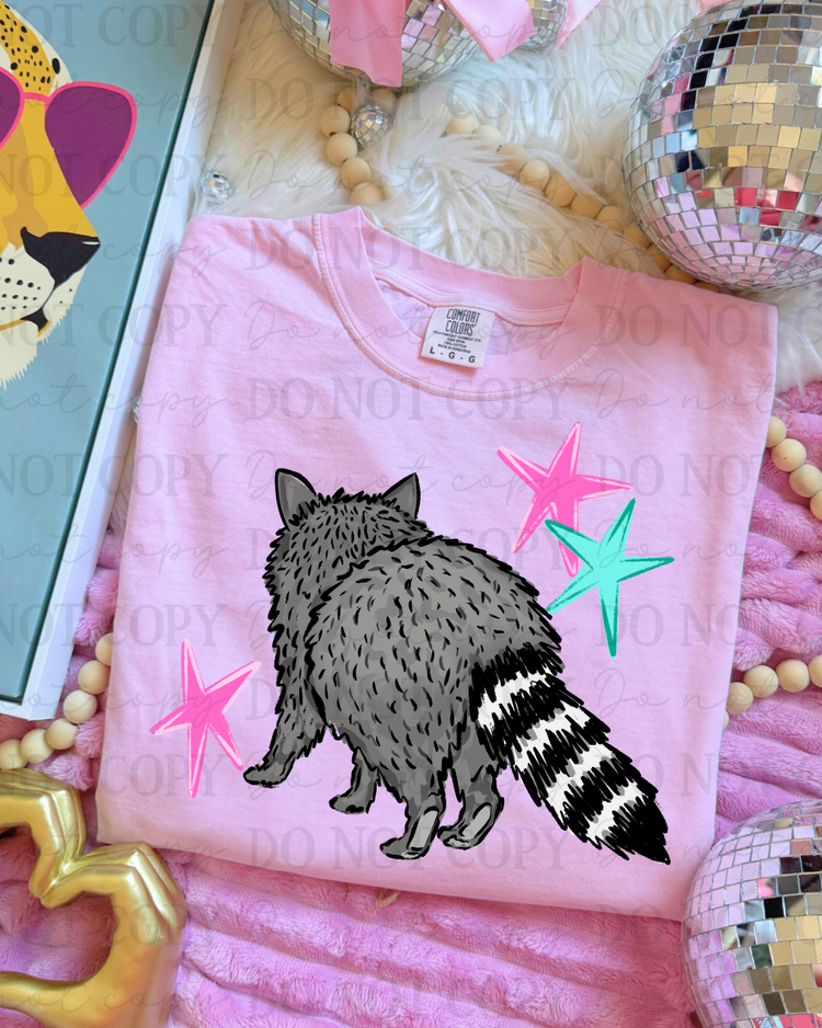 Raccoon DTF Transfer