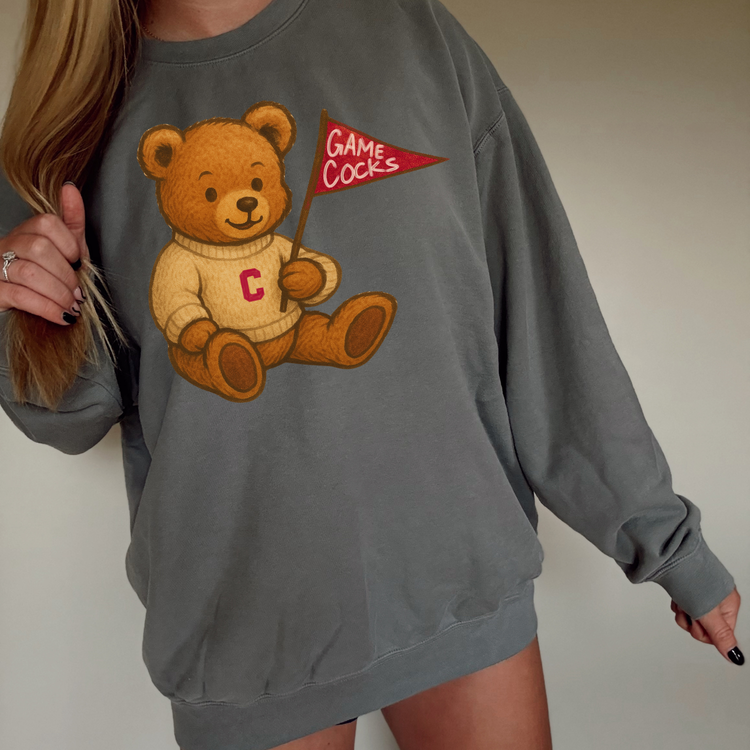 Teddy Mascot Gamecocks DTF Transfer