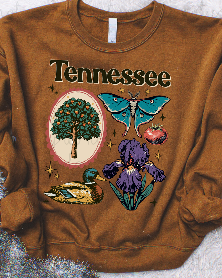 Tennessee Symbols DTF Transfer