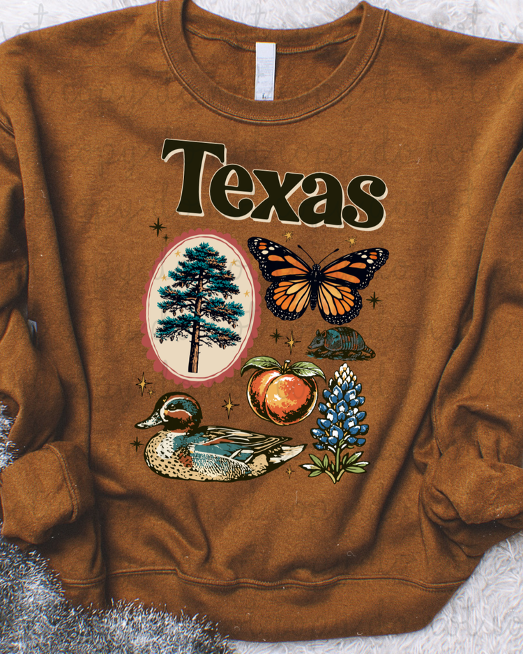 Texas Symbols DTF Transfer