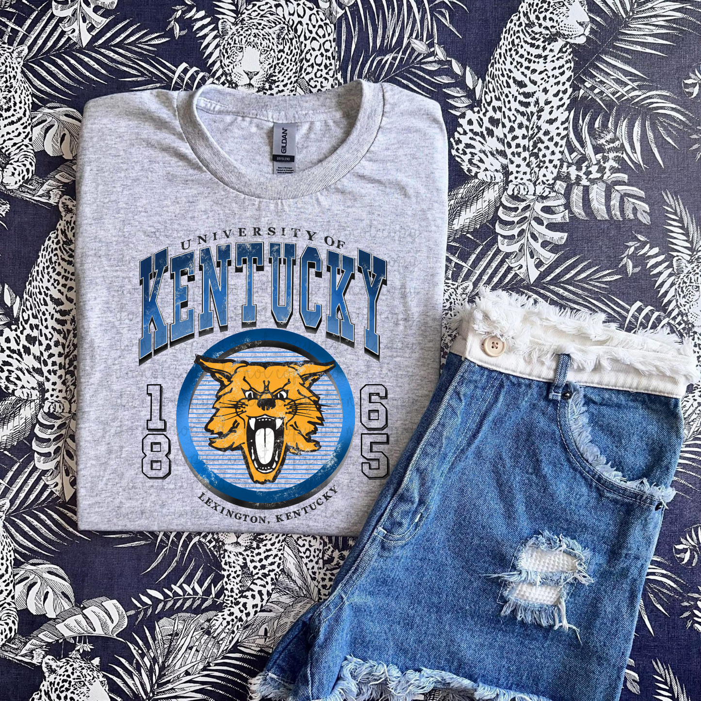 University Of Kentucky DTF Transfer