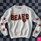 Bears Distressed DTF Transfer (BOTH SLEEVE + FRONT)