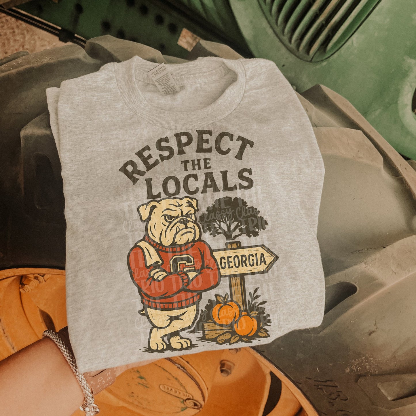 Respect the Locals Georgia DTF Transfer