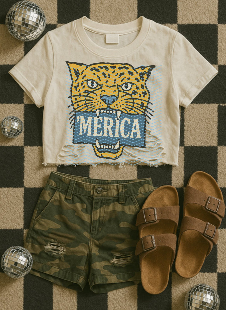 'Merica DTF Transfer