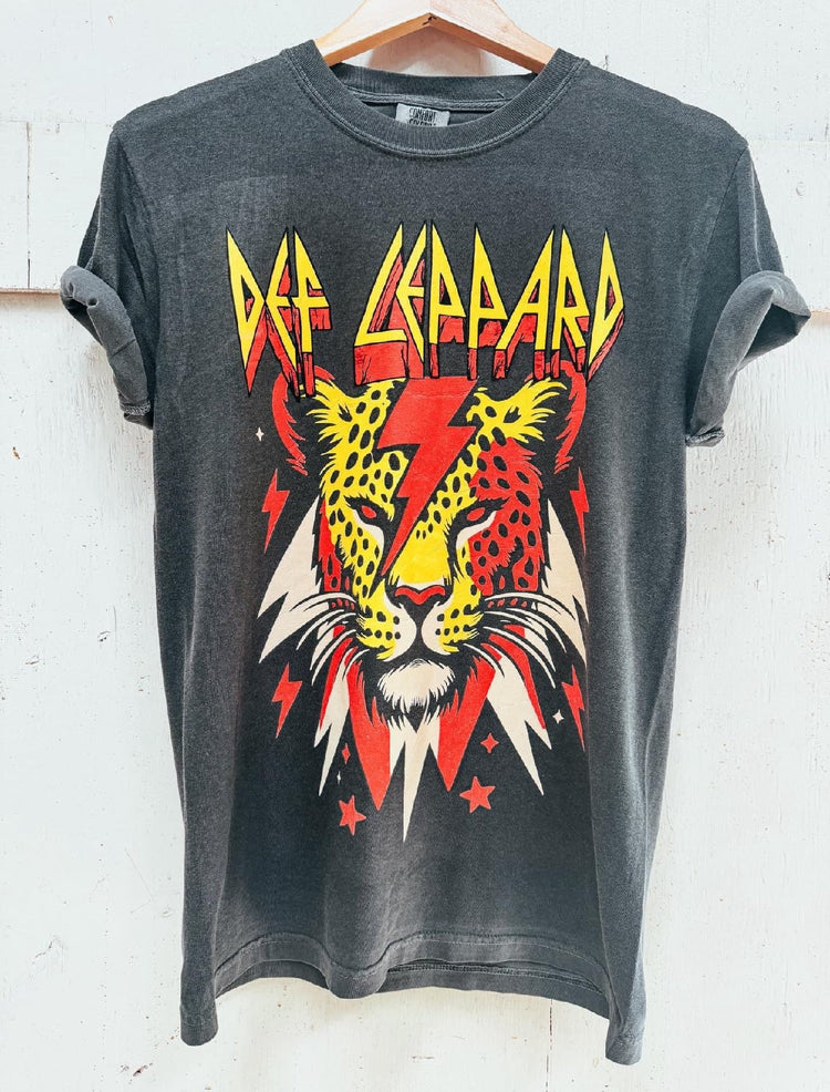 Def Leppard DTF Transfer