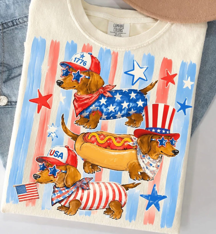 Wiener Dog 4th of July DTF Transfer