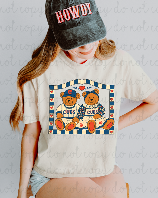 Cubs Bears DTF Transfer