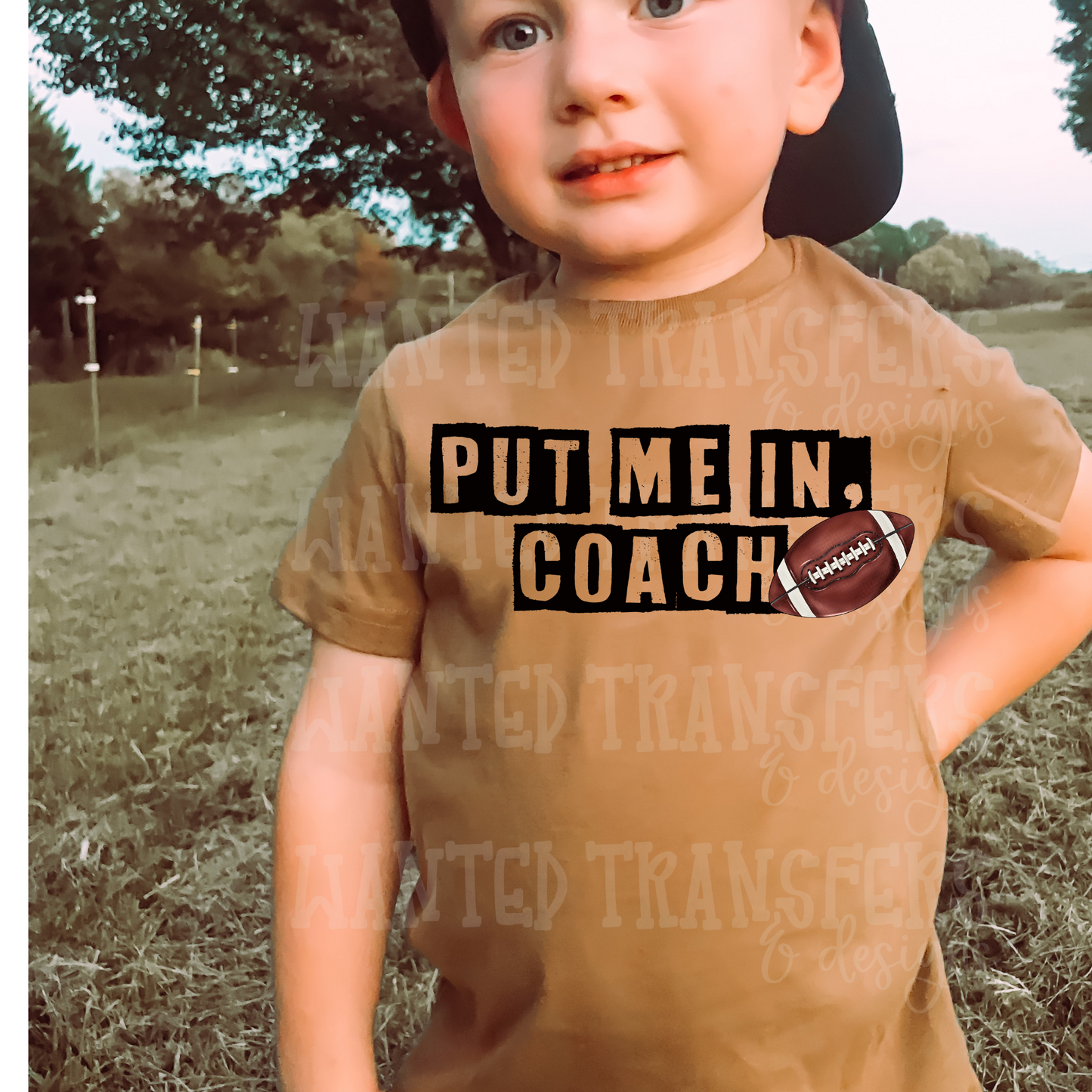 Put me in Coach, Football Exclusive DTF Transfer