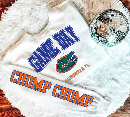 Game Day Gainesville, FL with Sleeve DTF Transfer