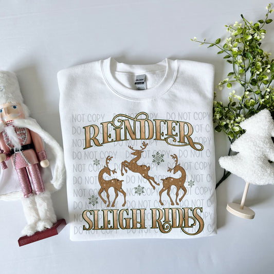 Reindeer Sleigh Rides Christmas DTF Transfer