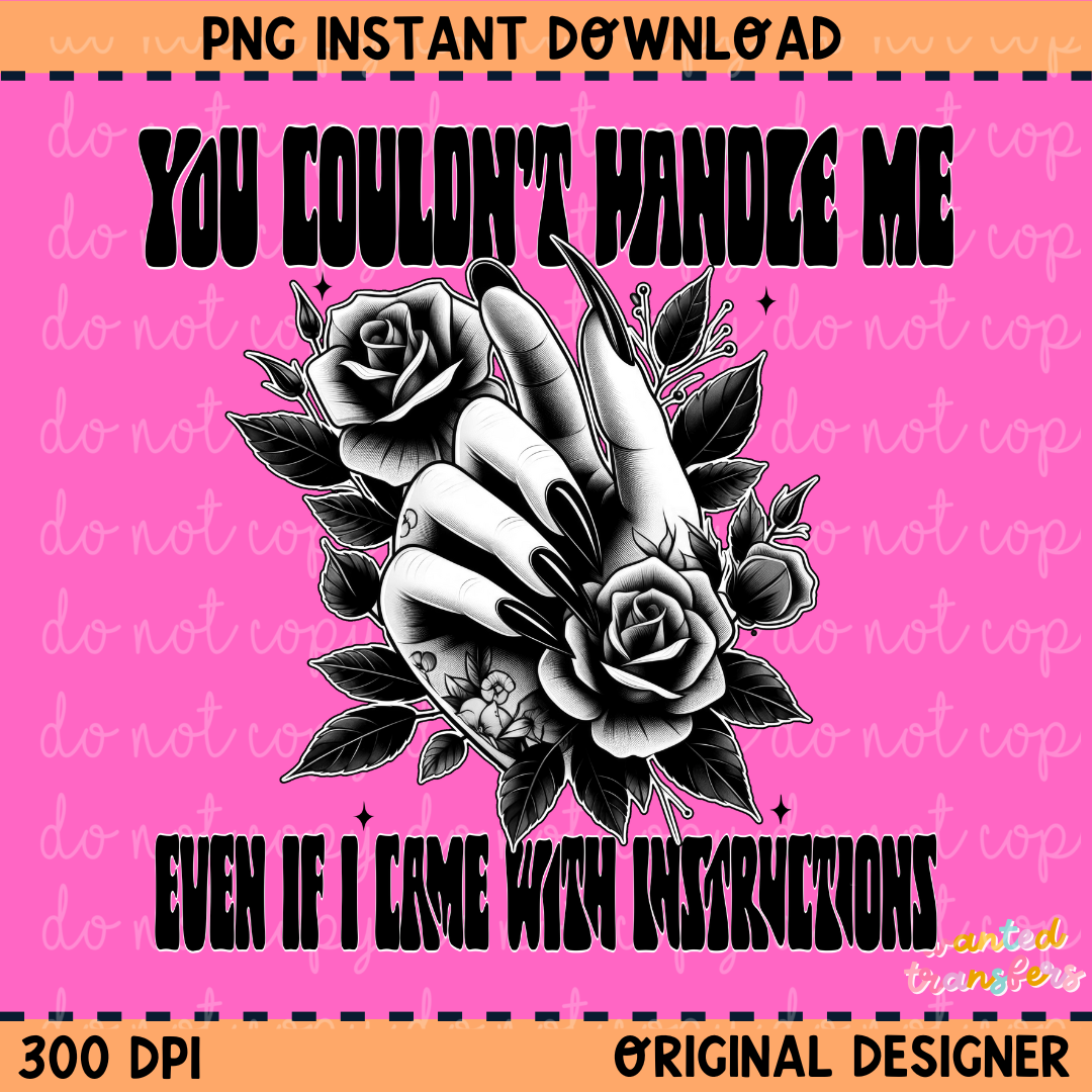 You Couldn't Handle Me, Even if I Came with Instructions PNG Digital Download