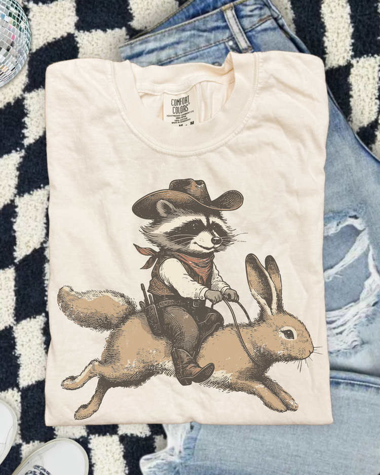Raccoon Riding A Bunny DTF Transfer