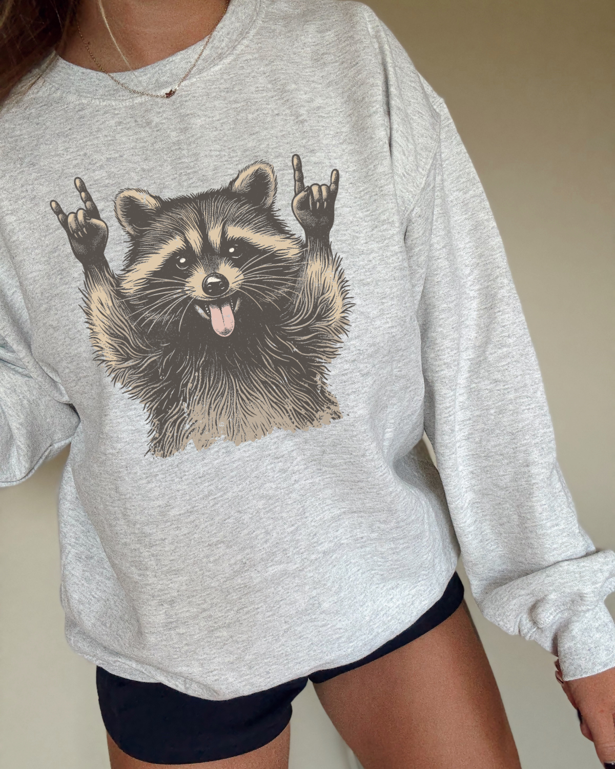 Raccoon Rocks DTF Transfer