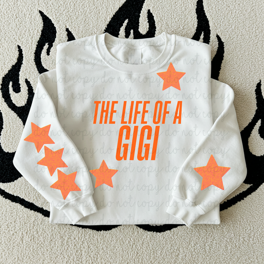 The Life Of A Gigi DTF Transfer