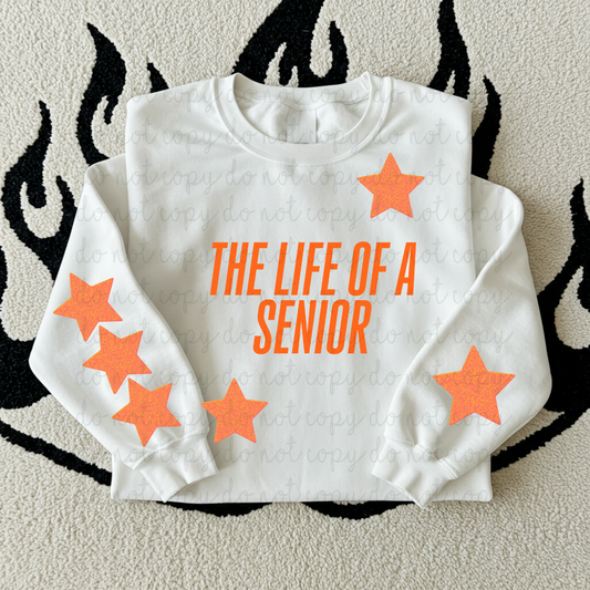 The Life Of A Senior DTF Transfer