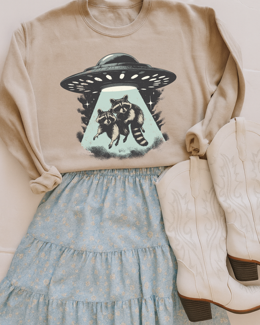 UFO Raccoons DTF Transfer