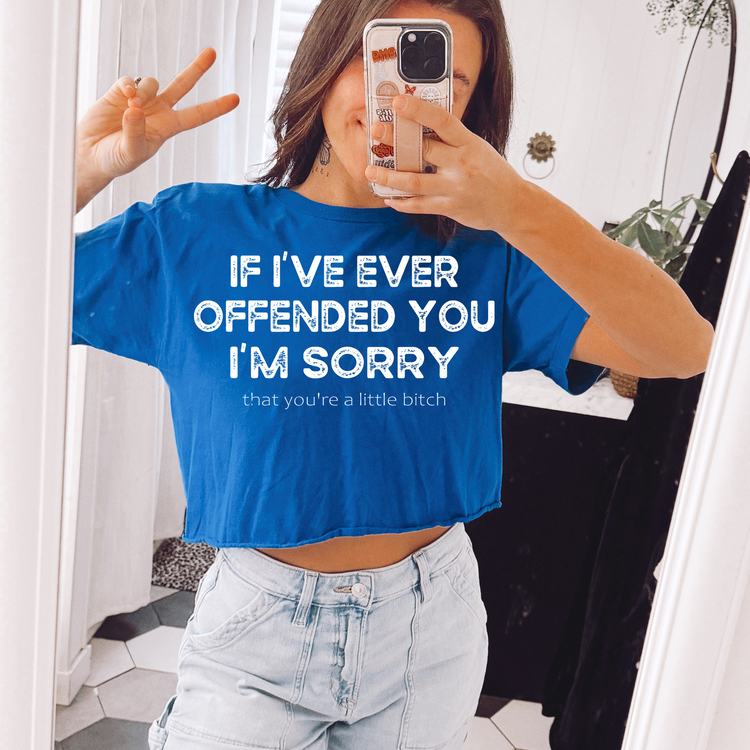 If I've Ever Offended You, I'm Sorry (your a little B) Screen Print Transfer