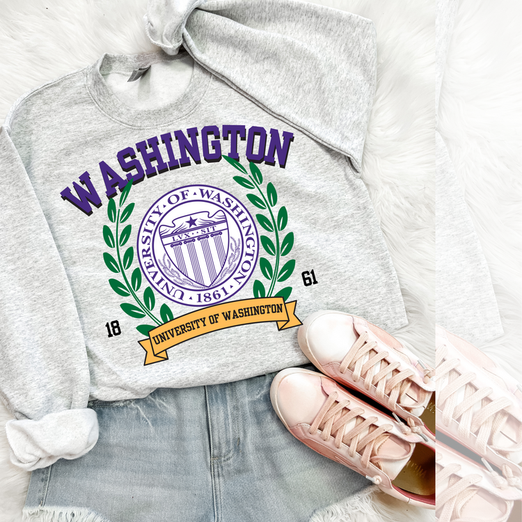 Washington Vintage Stadium DTF Transfer