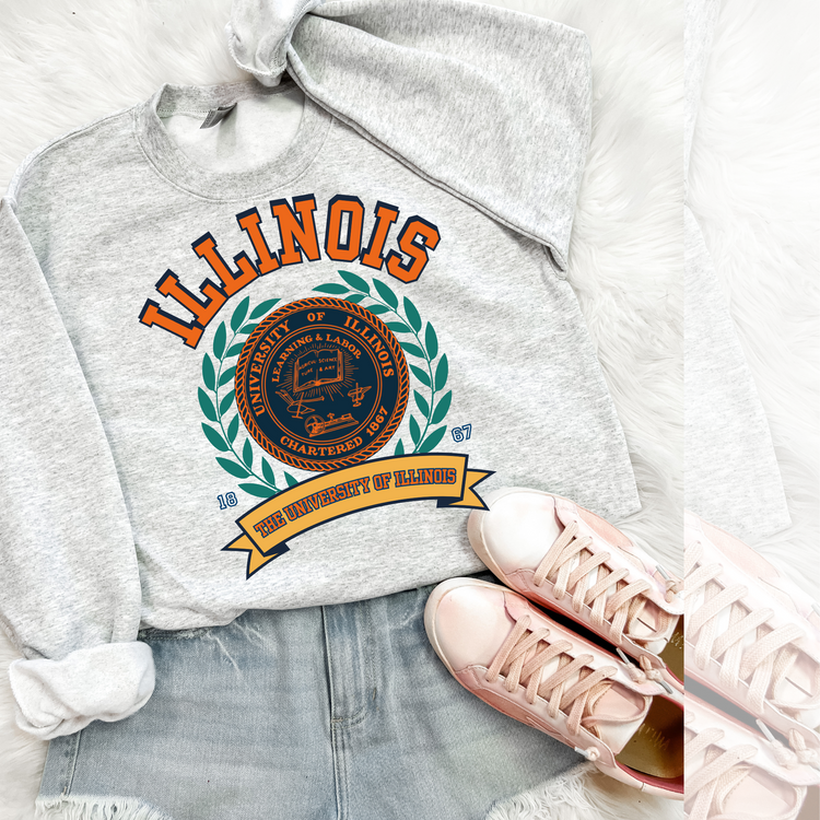 Illinois Vintage Stadium DTF Transfer