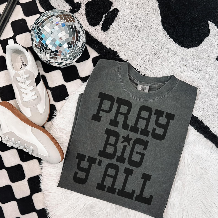 Pray Big Y'all Single Color Screen Print Transfer