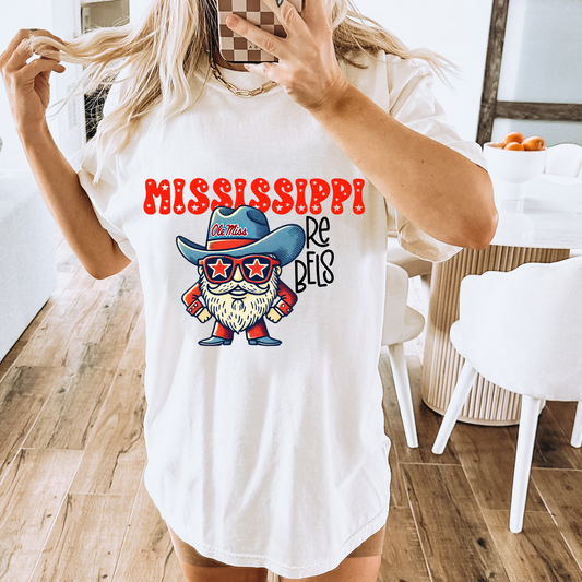 Mississippi Sports DTF Transfer