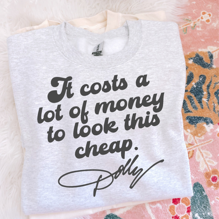 It Cost a Lot of Money DTF Transfer