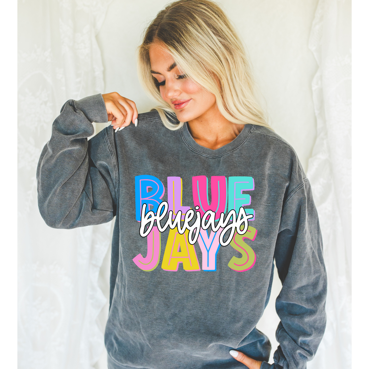 BlueJays Mascot DTF Transfer