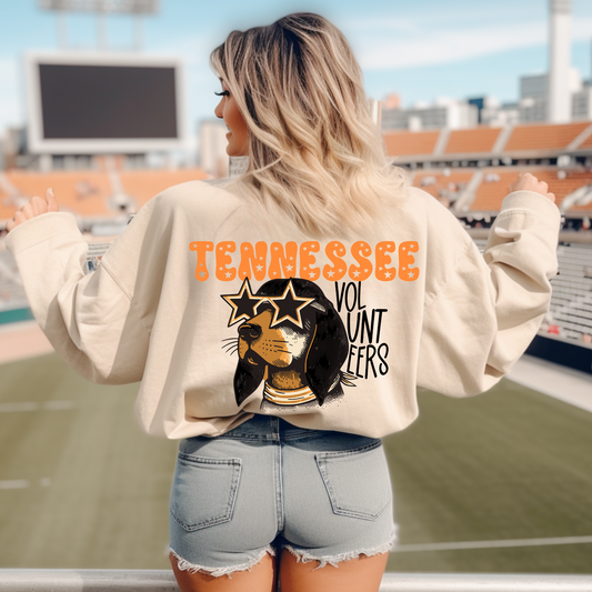 Tennessee Sports DTF Transfer