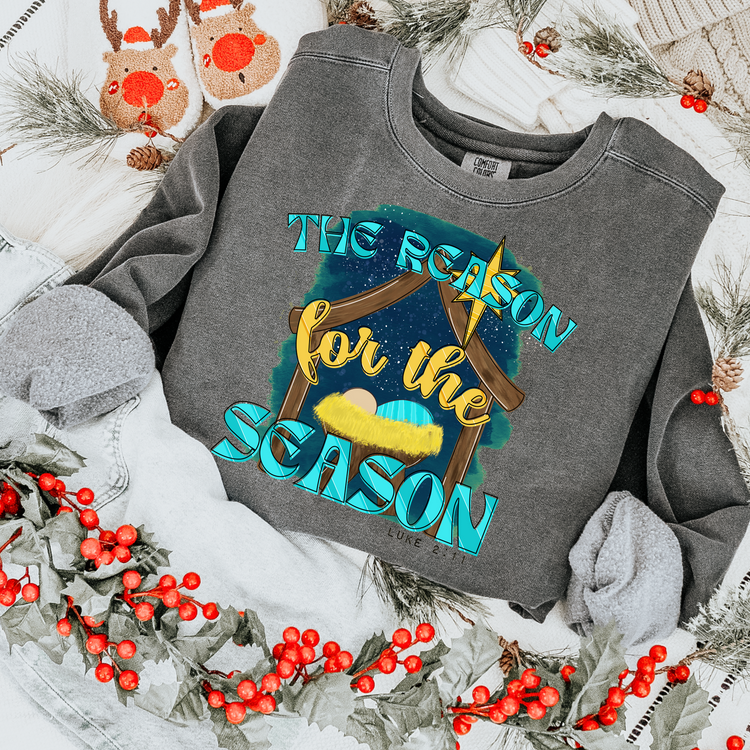 Tis the Reason for the Season Teal Christmas DTF Transfer