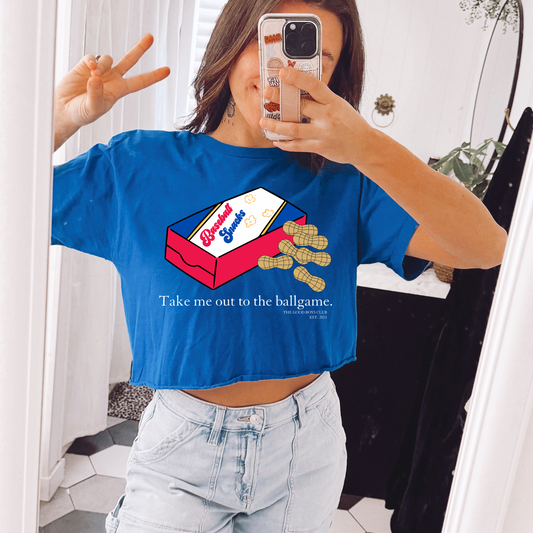 Take me to the Baseball Game DTF Transfer