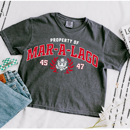 Property of Mar-A-Lago Trump DTF Transfer