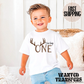 The Big One Hunting Boys Birthday Shirt, Tee, Onesie, Birthday Boys, Hunting, 1st, First Birthday, Toddler, Youth, Kids Bday